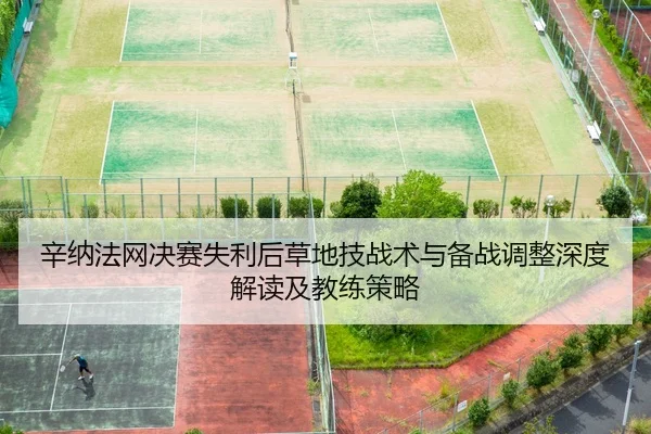 辛纳法网决赛失利后草地技战术与备战调整深度解读及教练策略
